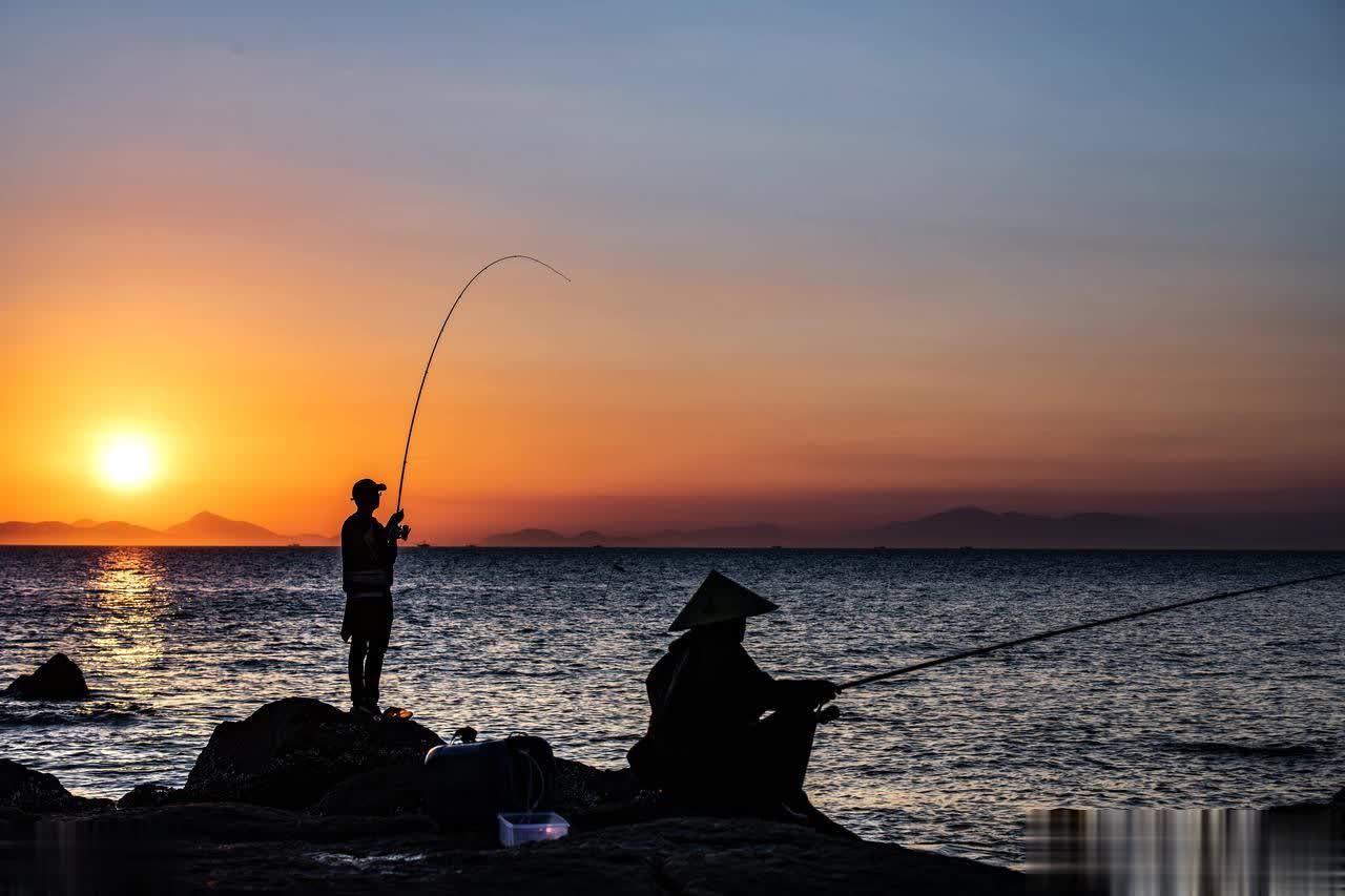 回鱼快但容 回鱼快但容